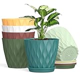 Homeuouz 12.5cm Plant Pots, 6 Pack Plastic Flower Pots with Drainage Holes and Saucers, Indoor Outdoor Planters for Succulent and All House Plants(Colourful)