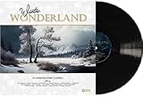 Nouveau stock de magasin Winter Wonderland/14 Christmas Classics