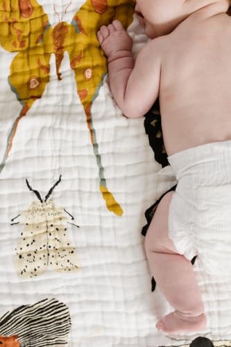 Image of CLEMENTINE KIDS Reversible Quilts (Butterfly Collector)