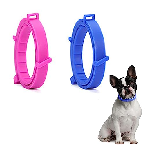 SSyang Leuchtendes Präventionshalsband, 2 Stücke Zeckenhalsband für Hunde und Katzen Gegen Parasiten mit bis 8-Monatigen Schutz,Fluoreszierendes Halsband Universell Jede Größe Verstellbar(Rosa+Blau)