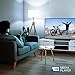 Panasonic TX-24MS480B, 24 Inch HD LED 2023 TV, High Dynamic Range (HDR), Android TV, Google Assistant, Chromecast, Bluetooth, USB Media Player, Wireless LAN, Dark Titanium
