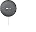 Google Nest Mini 1st Generation Bluetooth Speaker with GO! Deluxe Protective Carry Pouch Bundle (Charcoal)