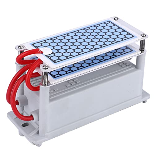 YDuupxe Máquina Portátil 10g por Hora 100W para Desodorización del Secador Purificador de Aire (220V)