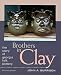 Brothers in Clay: The Story of Georgia Folk Pottery (Brown Thrasher Books Ser.)