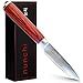 Professional Paring Knife, 4 inch with Japanese VG-10 Stainless Steel - Ultra Sharp Kitchen Knives with a Stunning Damascus Blade and No-Slip Pakkawood Handle