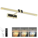 Brass Picture Light for Wall - 21inch Dimmable & Rechargeable Art Light with Single Swing Arm, 25H Light Time, Angle Adjustable, 3 Color Temperatures Timer - Perfect for Paintings and Home Decor