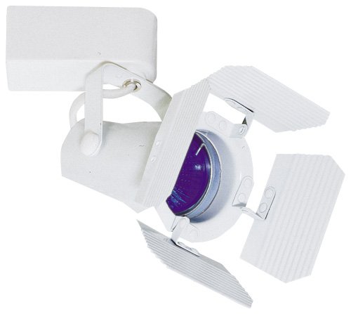 Elco Lighting ET540W Low Voltage Pinch Back with Barn Door