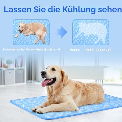 Rywell Entfärbung Kühlmatte für Hunde Katzen - 80×110cm Waschbar selbstkühlend Kälte Hundematte für unterwegs - rutschfest Wasserabsorbierend Tragbar Geruchlos Hundedecke für Haustiere Sommer - XL