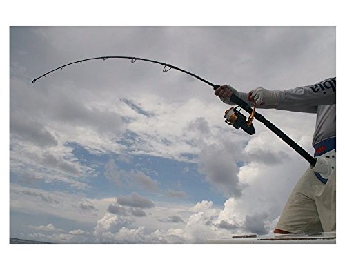 Penn Prevail Surf Spinning Fishing Rod, 11 Feet, Medium Heavy Power #TOP6