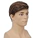 Dai Cloud Mens Short Brown Wig Layered Fluffy Synthetic Hair Male Wigs Daily and Halloween Wig