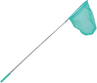 BESPORTBLE 4 Pieces Outside Toys Kidult Toys Fishing Net for Kids Nature Exploration Toys Kids Fishing Nets Outdoor Play Toys Retractable Net Telescopic Net Extendable Net Tadpole Net