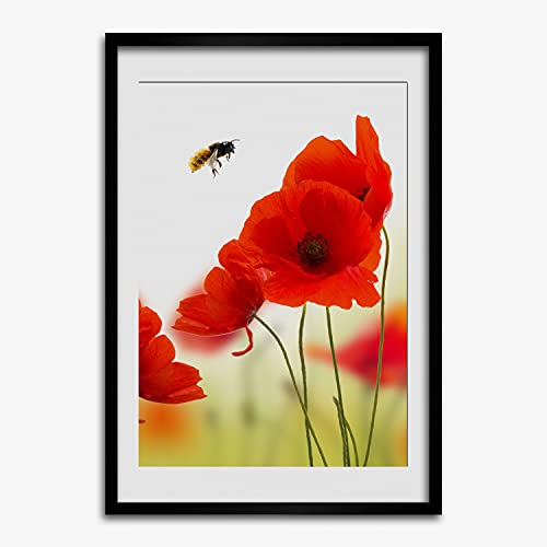 Tableau photo affiche coquelicots Tulup 50x70 cm avec cadre MDF bois
