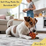 PawsOnly | Interactive Dog Treat Toy for Boredom & Enrichment | Mental Stimulation & Anxiety Relief | Puzzle Feeder | Puppy Brain Training & Entertainment | Keep Them Busy (Small, ORANGE) - Image 3
