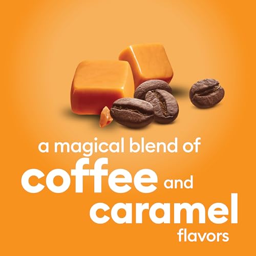 International Delight Caramel Macchiato Iced Coffee