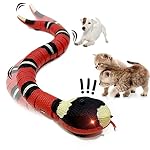 Cat Toys Activity
