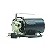 Star HPP360 Portable Transfer Pump with Garden Hose and Strainer, 115V, 336 GPH -  Star Water Systems