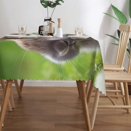 Nappe rectangulaire polyester Two Little Cute Rabbits lavable pour protéger votre table des taches