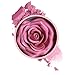 Face Blusher - 3D Rose Petal, trucco leggero | Arrossire in polvere costruibile di lunga durata, colore della guancia naturale per ragazze che si riunioni da sera feste quotidianamente indossano immagine