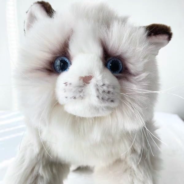 Peluche chaton aux yeux bleus le premier ami de bébé - 2