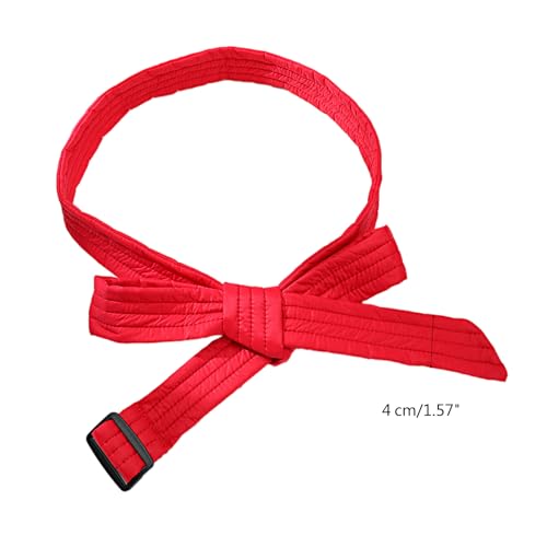 Women Down Coat Belt Replacement Coat Belt Belt Overcoat Waist Belt For Down Coat Men Decorative Belt Puffer Belt Bag4