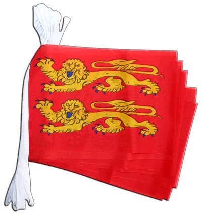 Guirlande drapeau France Basse Normandie p'tits cats pavoisement 5,9m
