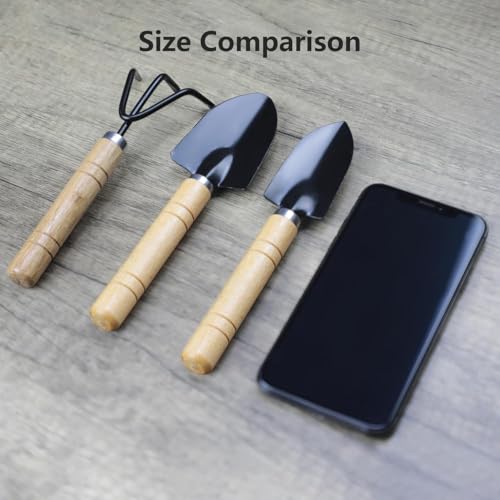 Kit de herramientas para suculentas 3 piezas miniatura 4