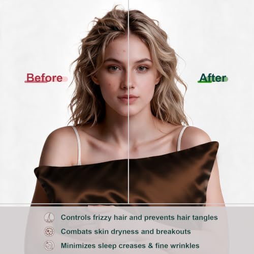 Image of LYSHIN Silk Pillow Cases 2 Pack King Size with Zipper, Brown | 19 Momme Mulberry Silk Pillowcase for Skin and Hair, Anti-Acne, Hypoallergenic, Cooling, Beauty Sleep, Gifts for Women