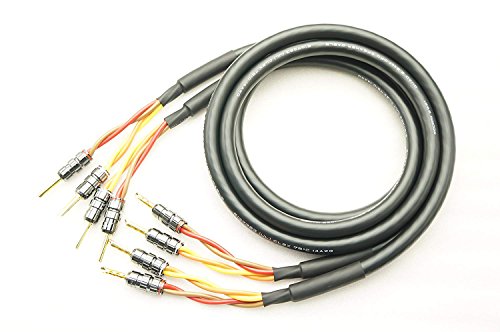 Amazon | MOGAMI 2921 2本ペア 24K金メッキ ベリリウム銅製
