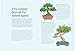 The Happy Bonsai Handbook: Essential advice and easy techniques for Bonsai beginners and Beyond