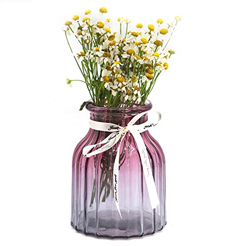 OFFIDIX Glass vase Gradient Multicolor Vase, Home, Office, Living Room Decoration Glass Flower Vase (Purple Gray)