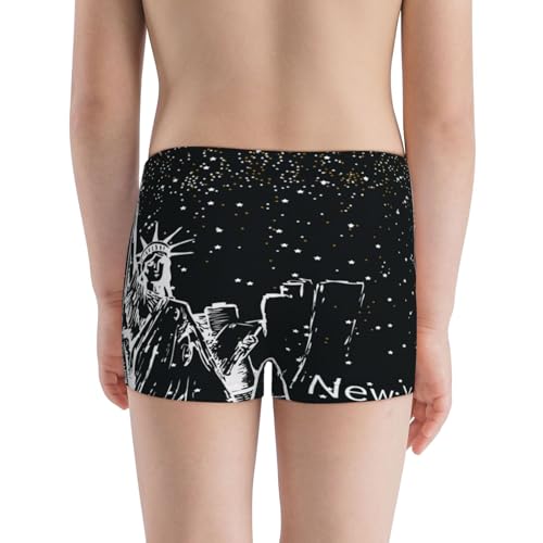 Boys' Cotton Boxer Brief Soft Underwear-New York City13