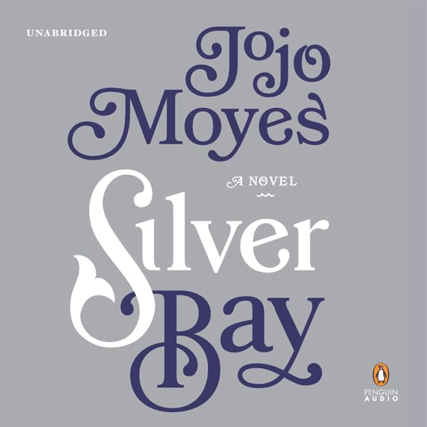 Cover art for Silver Bay