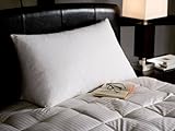 Reading Wedge Bed Pillows| Two Fill Options to Choose From - Down and Down Alternative | Cotton Casing Made in the USA