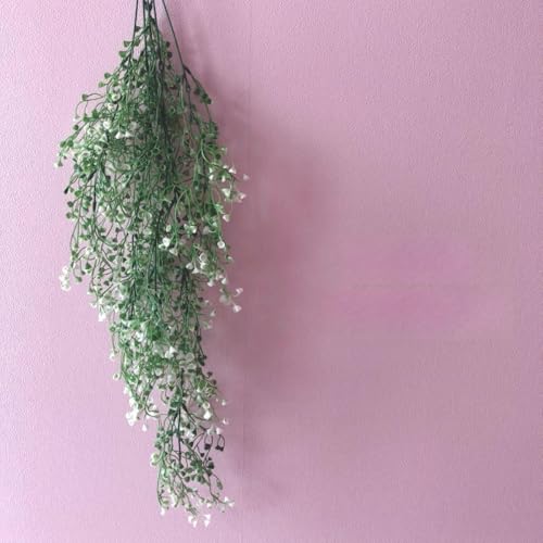 tFCNO[ CeA  ݑ XbO     K[h ze h