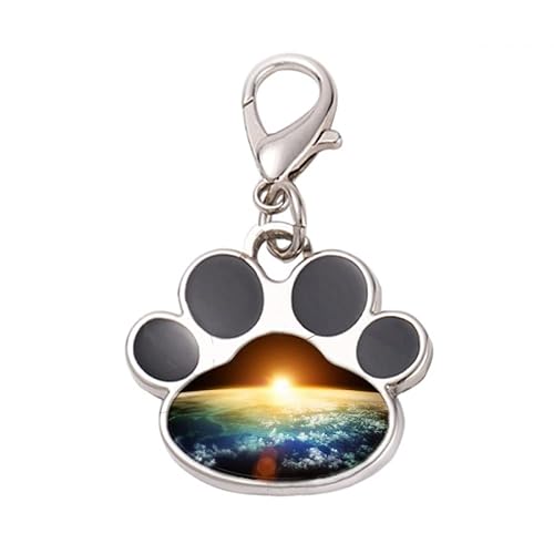 DIYthinker?en shines surface illustration pattern Pet Tag Keychain Dog Cat ID