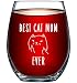 Best Cat Mom Ever Funny Wine Glass 15oz - Unique Christmas Gift Idea for Cat Lovers - Perfect Birthday Gifts for Women - Rude Sarcastic Cat Meme Cup - Evening Mug