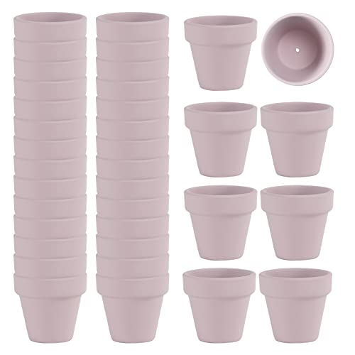 Fcacti 36 Pcs Small Mini Pink Clay Pots 2.1'' Terracotta Pot Clay Ceramic Pottery Planter Cactus Flower Pots Succulent Nursery Pots- Great for Window Boxes, Cactus, Plants, Crafts, Wedding Favors