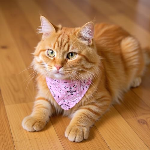 6 Stück Halstuch Hund Klein, Bandana Kopftücher Verstellbare Hund Halstuch Hundehalsband für Katzen Welpen Kleine Hunde Hundehalstüch Katzen