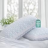 Shredded Memory Foam Cooling Soft Bamboo Viscose Pillows Queen Size Set of 2, Adjustable Hypoallergenic Hotel Quality Bed Pillows for Back, Stomach and Side Sleeper, Oeko-TEX Certified