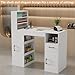 Annzoe Professional Nail Desk for Nail Tech with Storage Cabinet and Fan – Modern Nail Table for Salon, Nail Tech Table with Drawer, Armrest & Dust Collector,Manicure Table Nail Desk
