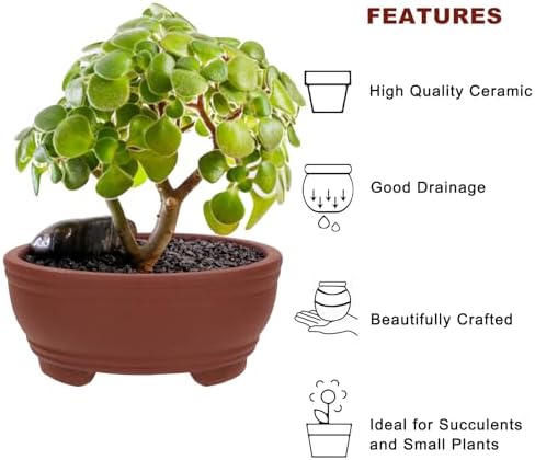 happy bonsai 2 pc 3.0" + 4.1" Unglazed Round Ceramic Succulent Planter Pot Set - 4