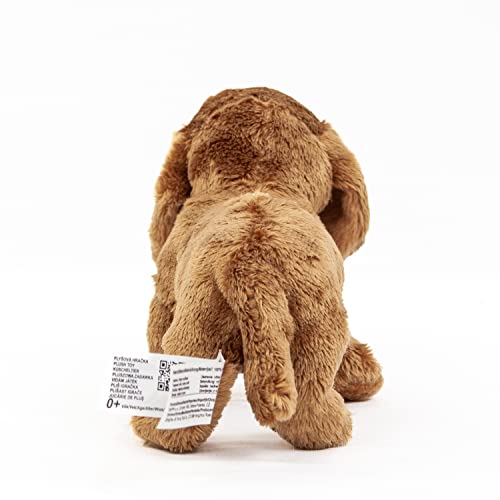 Teddys Rothenburg Kuscheltier Dackel Hellbraun 19 cm Plüschdackel Plüschtier