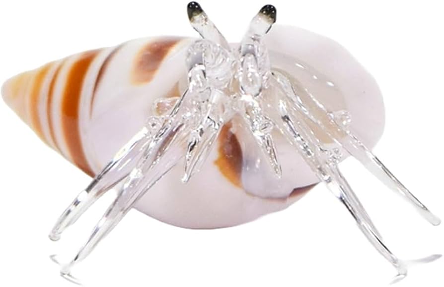 Amazon.co.jp: くば笠屋 ガラス細工 ヤドカリ 沖縄 お土産 お取り寄せ