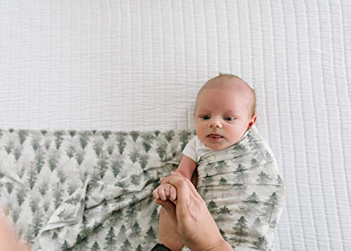 Image of Copper Pearl Swaddle Blankets for Newborns | Soft Stretchy Receiving Blankets for Boys and Girls | Large 46 x 46 Inch Baby Blankets | Lightweight and Breathable Swaddles | Evergreen