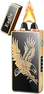 SKRFIRE Arc electric lighter rechargeable usb plasma Lighter cool lighter Windproof Flameless Lighter with LED Battery Indicator (Eagle)