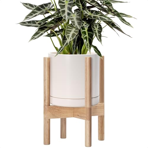 D'vine Dev Ceramic Pot with Natural Wood Stand, Oatmeal, 8 in, 55-B-N-8