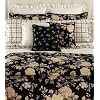 Ralph Lauren Winter Rose Floral King Sham Black Cream