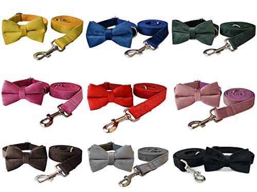 Collier pour chien personnalisable avec boucle en métal, colliers personnalisables pour animaux de compagnie avec nom, numéro de téléphone, adresse gravée, velours style B – Image 4