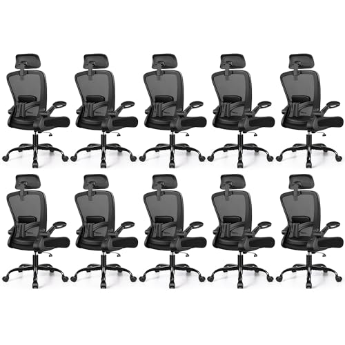 FelixKing Office Chair, Desk Chair with Adjustable Lumbar Support, Ergonomic Computer Chair with High Back and Armrest, Adjustable Height Gaming Chair Home Office Swivel Chair(Black),Pack of