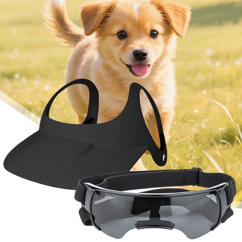 Casquettes pour chien protégeant les yeux sensibles des chiots